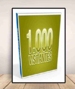 Curso Conseguir 1000 Visitas al Día con Tu Blog